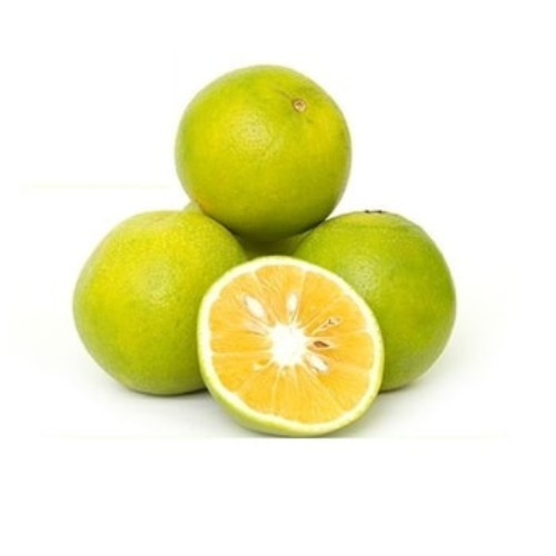 Fresh Indian Mosambi (Sweet Lime) – Naturally Ripened & Export-Quality for Juice Makers, Retailers & Health Brands